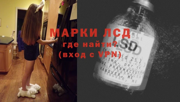мяу мяу мука Алзамай