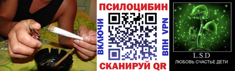 Псилоцибиновые грибы мухоморы кракен tor Магнитогорск