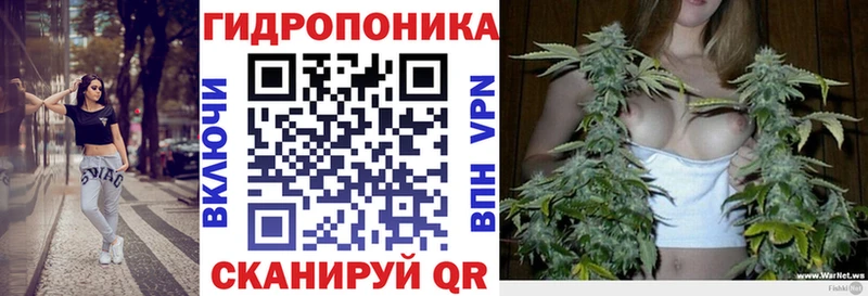 Конопля Bruce Banner  Магнитогорск 